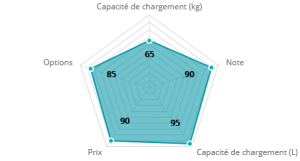 Remorque vélo charge 100 kg : peut-elle remplacer la voiture ?